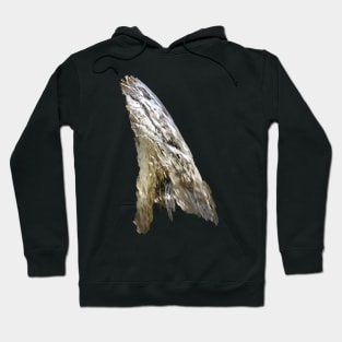 water falls Hoodie